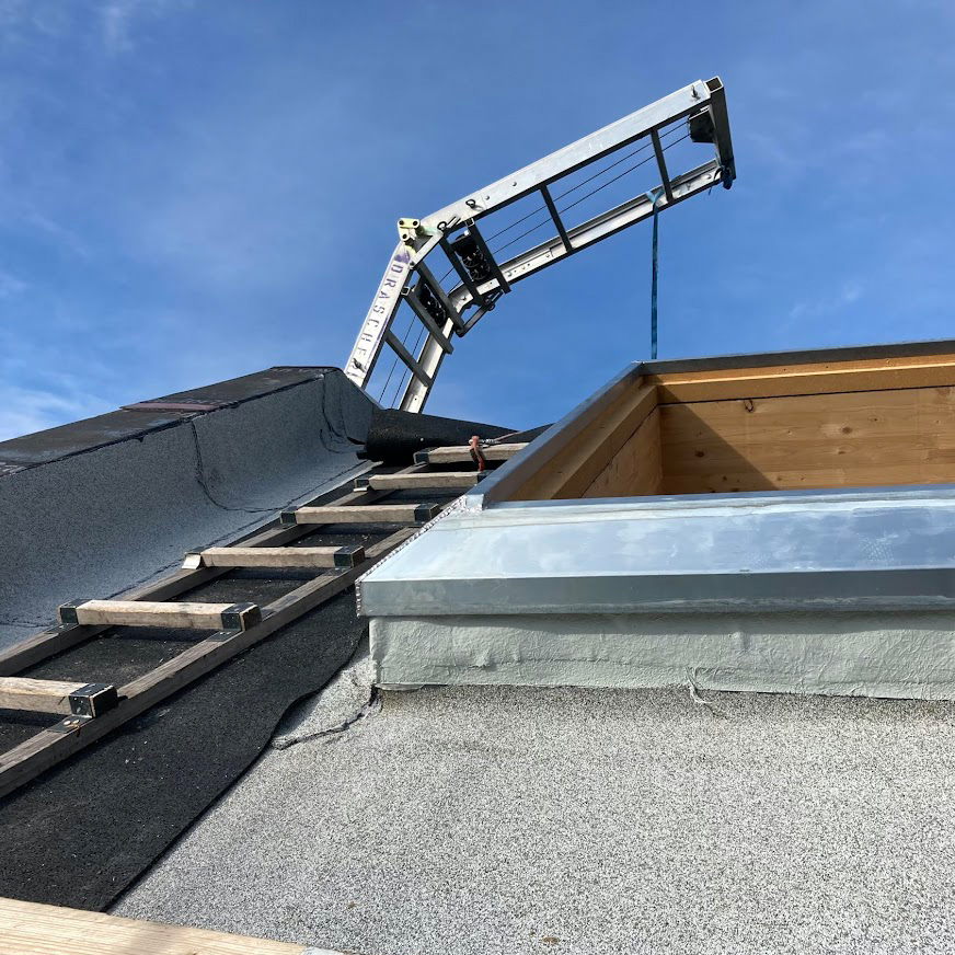 Koelbl Radojkovic 071